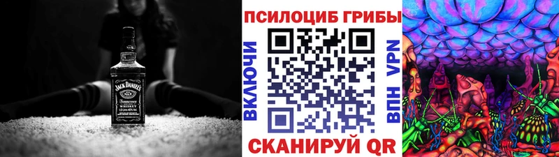 купить наркоту  Верхнеуральск  Галлюциногенные грибы MAGIC MUSHROOMS 